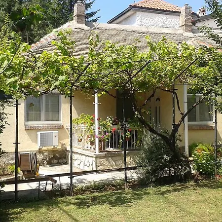 The House In Greenery