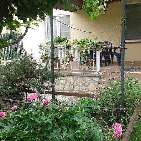 The House In Greenery Apartment *